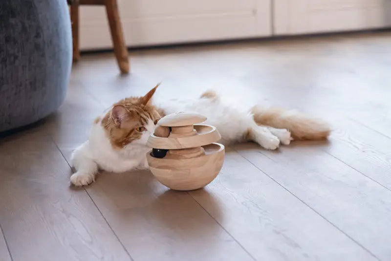 Designed by Lotte Kattenspeelgoed Neya