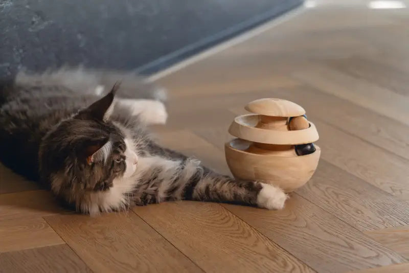 Designed by Lotte Kattenspeelgoed Neya