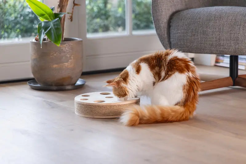 Designed by Lotte Kattenspeelgoed Raya