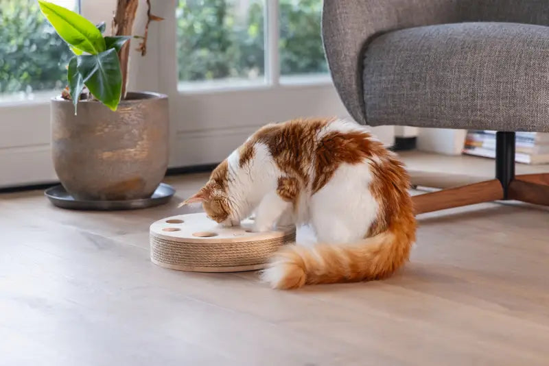 Designed by Lotte Kattenspeelgoed Raya