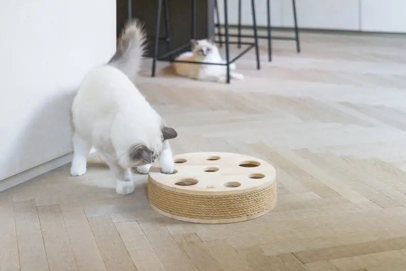 Designed by Lotte Kattenspeelgoed Raya