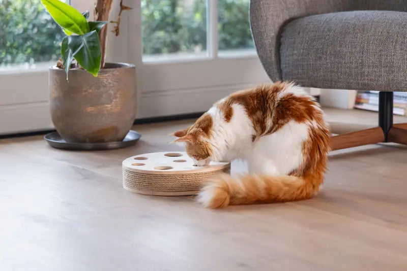 Designed by Lotte Kattenspeelgoed Raya