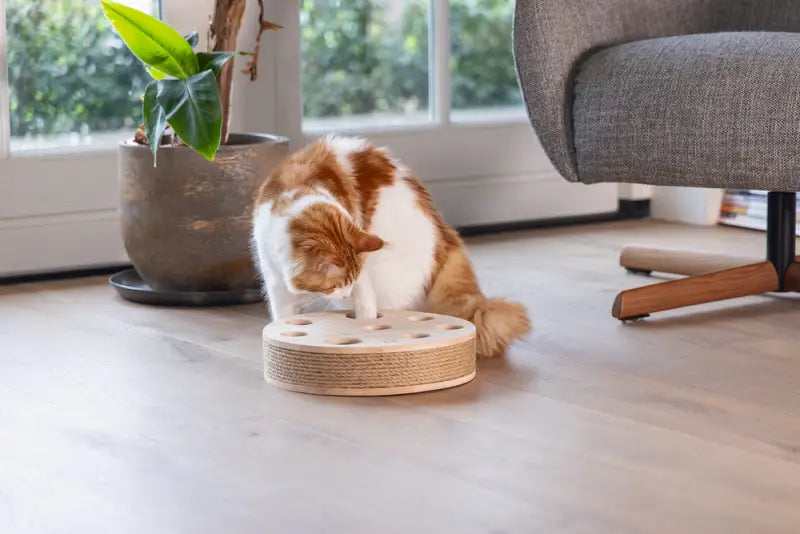 Designed by Lotte Kattenspeelgoed Raya