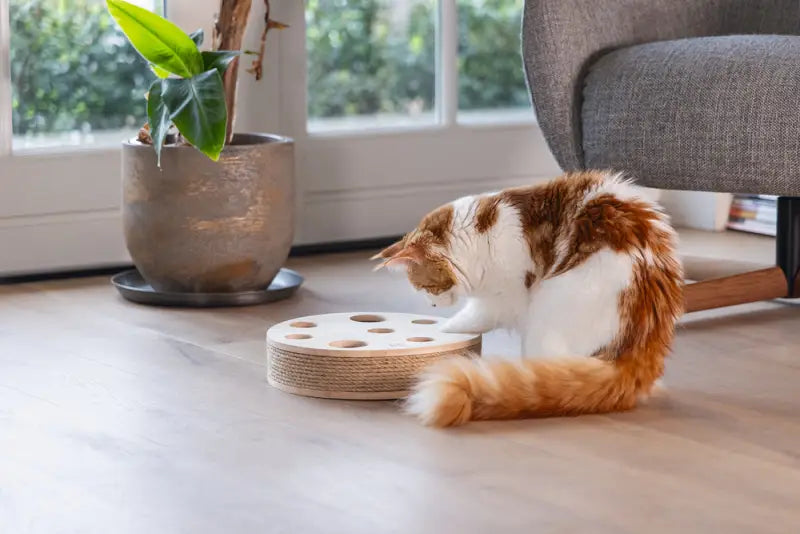 Designed by Lotte Kattenspeelgoed Raya