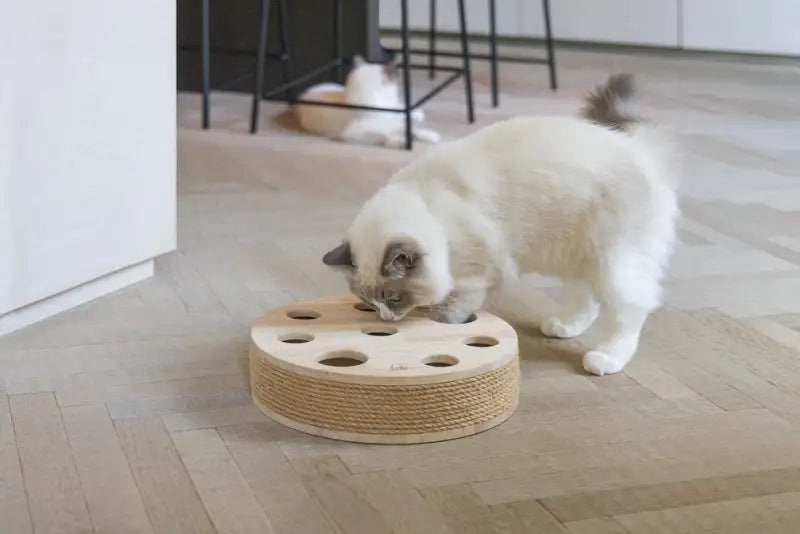 Designed by Lotte Kattenspeelgoed Raya