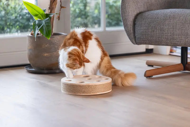 Designed by Lotte Kattenspeelgoed Raya
