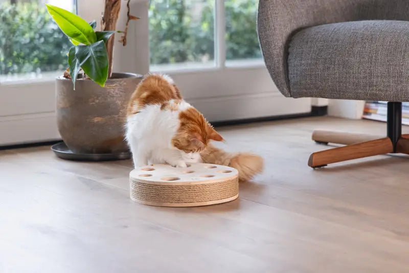 Designed by Lotte Kattenspeelgoed Raya
