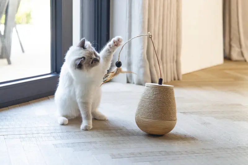 Designed by Lotte Kattenspeelgoed Tuimel Mae