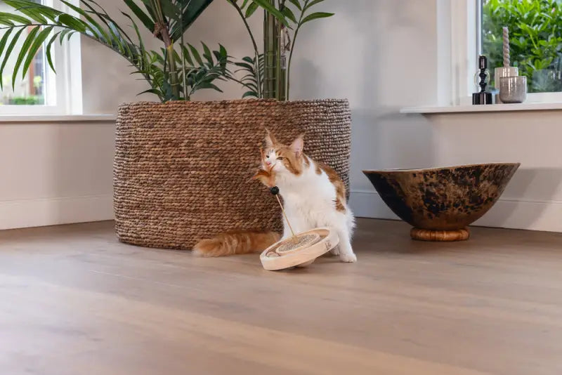 Designed by Lotte Kattenspeelgoed Winni