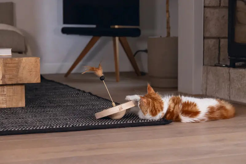 Designed by Lotte Kattenspeelgoed Winni
