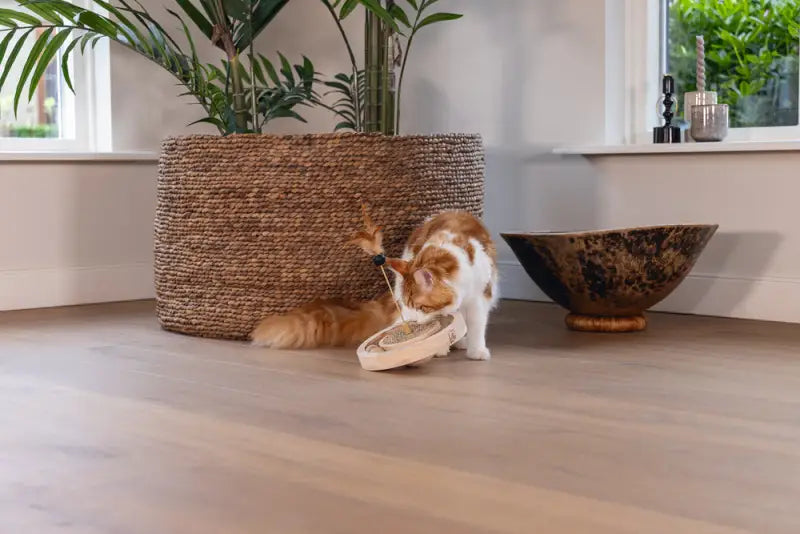 Designed by Lotte Kattenspeelgoed Winni
