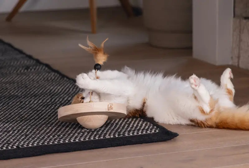Designed by Lotte Kattenspeelgoed Winni