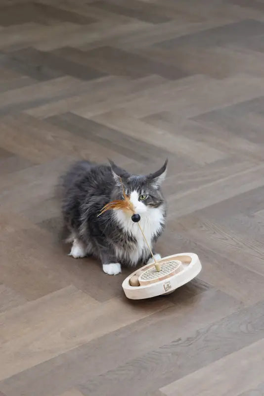 Designed by Lotte Kattenspeelgoed Winni