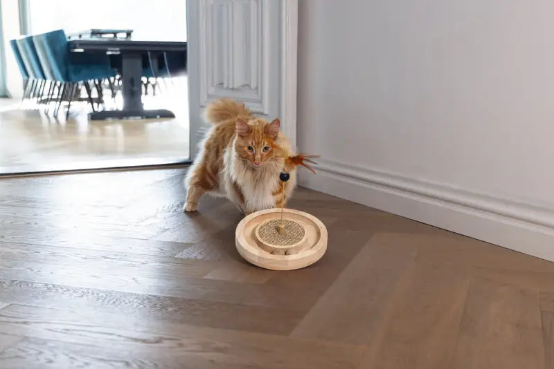 Designed by Lotte Kattenspeelgoed Winni