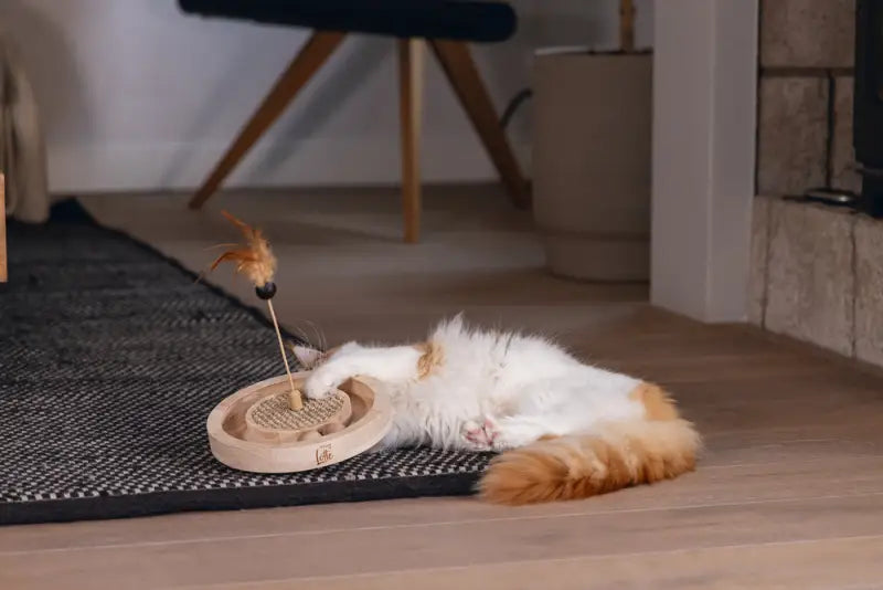 Designed by Lotte Kattenspeelgoed Winni