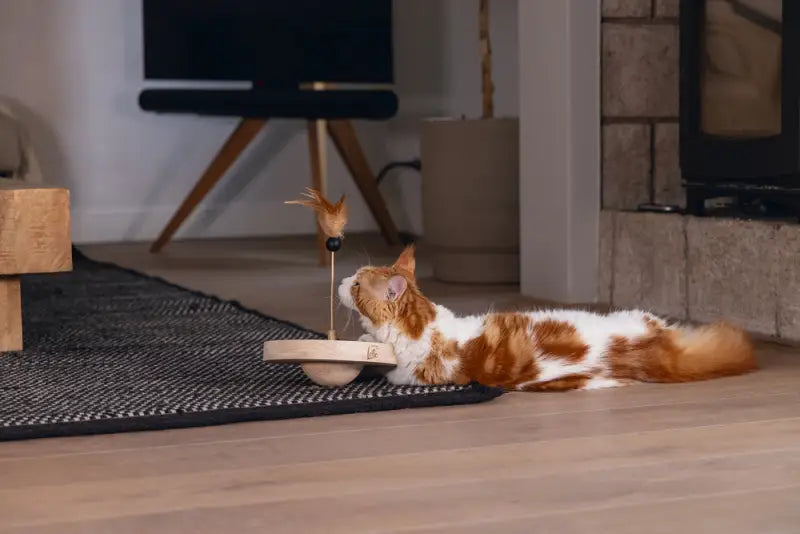 Designed by Lotte Kattenspeelgoed Winni