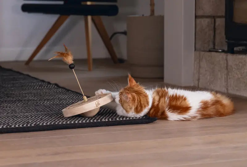 Designed by Lotte Kattenspeelgoed Winni