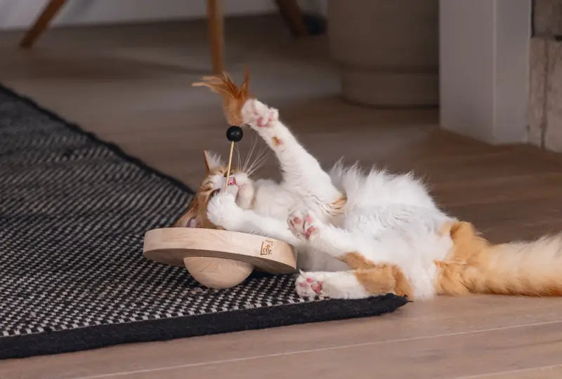 Designed by Lotte Kattenspeelgoed Winni
