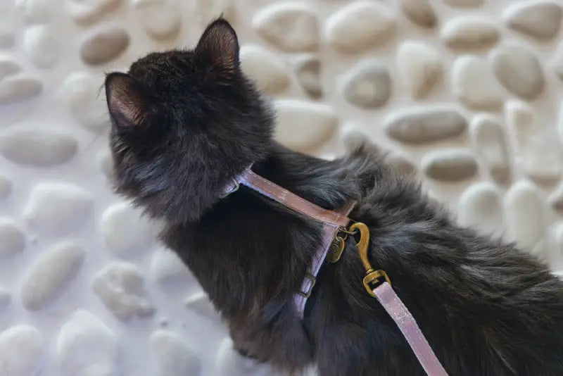 Designed by Lotte Kattentuigje Virante — Roze - Kattentuigje