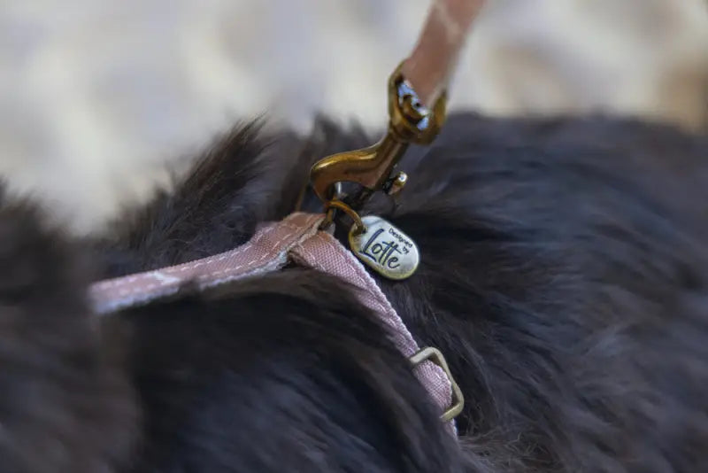 Designed by Lotte Kattentuigje Virante — Roze - Kattentuigje