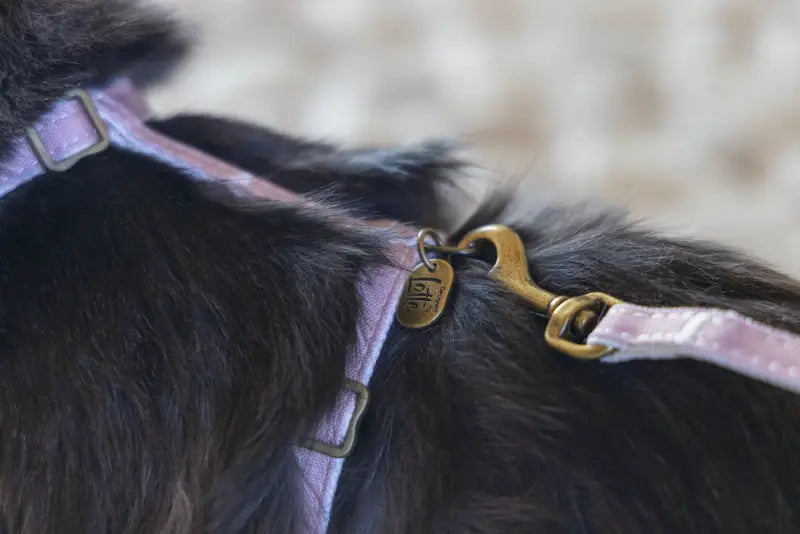 Designed by Lotte Kattentuigje Virante — Roze - Kattentuigje