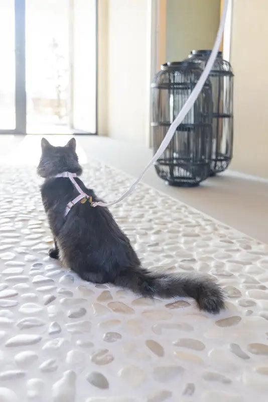 Designed by Lotte Kattentuigje Virante — Roze - Kattentuigje