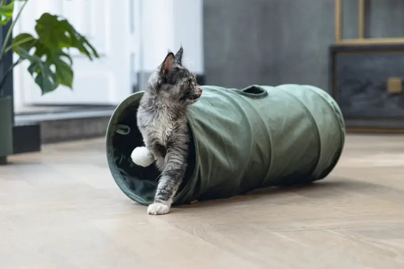 Designed by Lotte Kattentunnel Cylla — Groen
