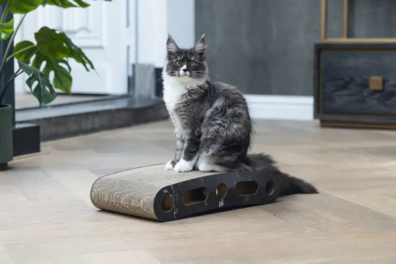 Designed by Lotte Krabspeelgoed Suvi 46x25x9 cm — Zwart
