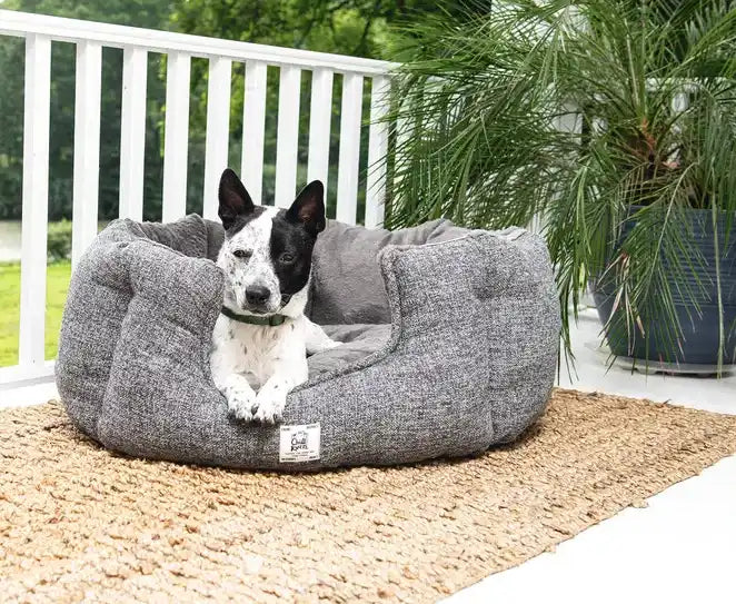 Grijze hondenbed met een zwart-witte hond.