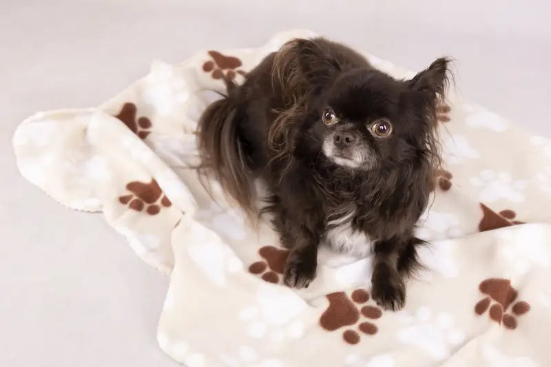 Hondendeken Esma — Beige - BEDDEN/MANDEN/KUSSENS