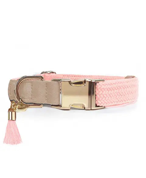 Hondenhalsband Kaya 25-36 cm x 1,5 cm — Roze - HALSBANDEN/LIJNEN LEER