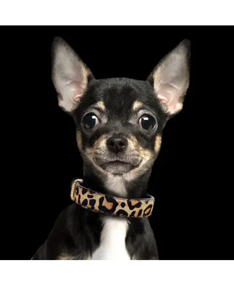 Hondenhalsband leer Leopard 30 cm x 1,5 cm - HALSBANDEN/LIJNEN LEER