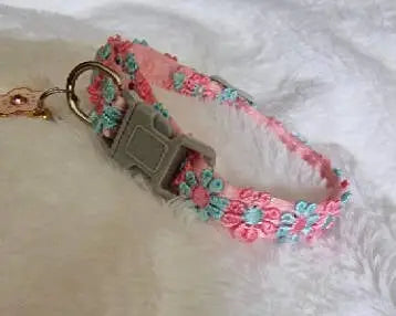 Hondenhalsbandje All Flowers — Roze / Blauw