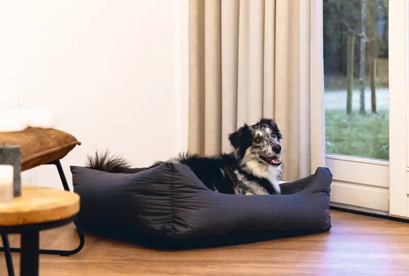 Hondenmand Sofixa — Antraciet - BEDDEN/MANDEN/KUSSENS