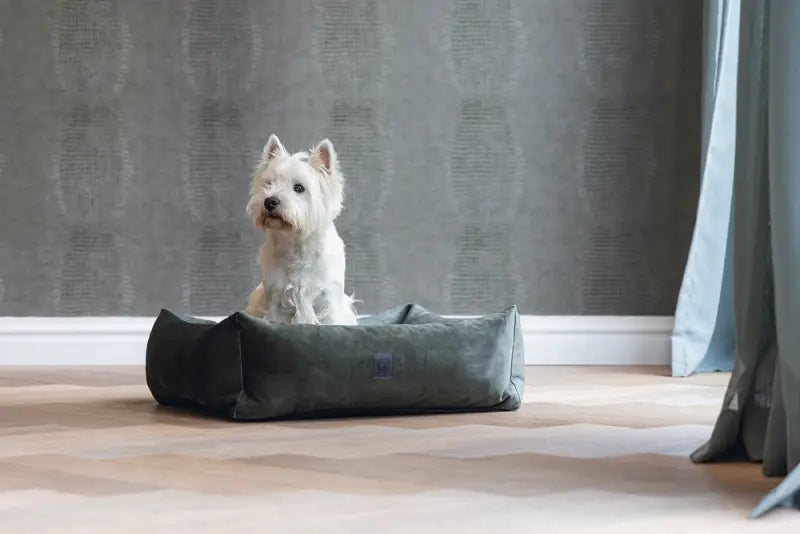 Hondenmand Yndis — Groen - BEDDEN/MANDEN/KUSSENS