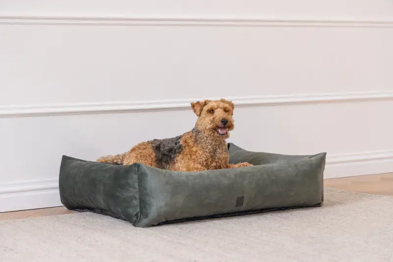 Hondenmand Yndis — Groen - BEDDEN/MANDEN/KUSSENS