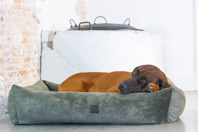 Hondenmand Yndis — Groen - BEDDEN/MANDEN/KUSSENS