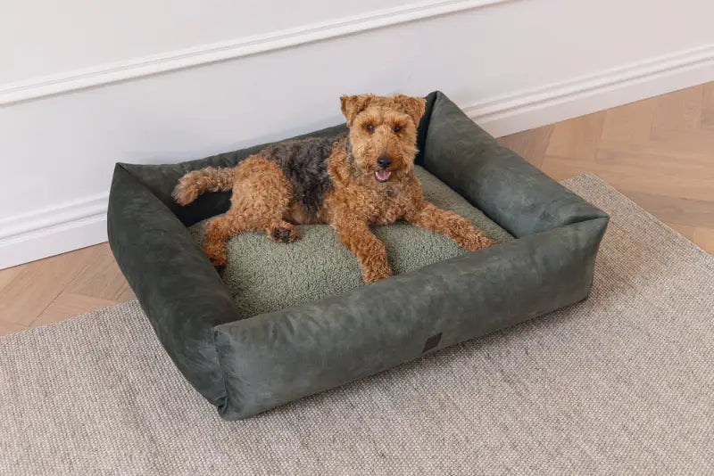 Hondenmand Yndis — Groen - BEDDEN/MANDEN/KUSSENS