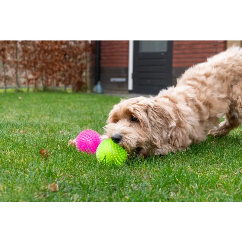 Hondenspeelgoed Dog Comets Exoplanet TPR Egelbal — Roze - SPEELGOED