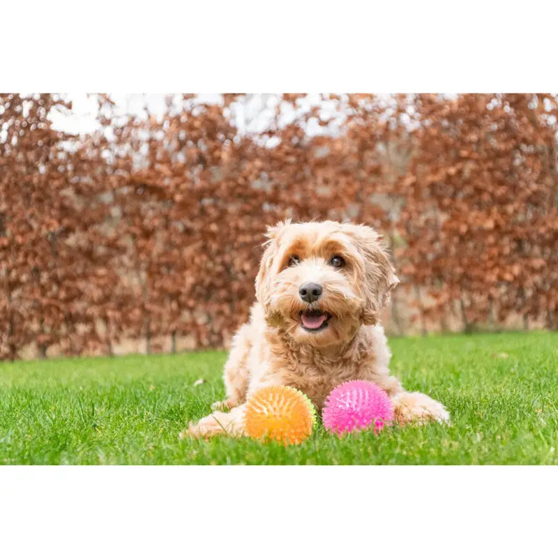 Hondenspeelgoed Dog Comets Exoplanet TPR Egelbal — Roze - SPEELGOED