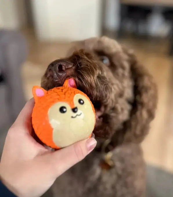 Hondenspeelgoed Latex Fun Fox — Oranje - SPEELGOED