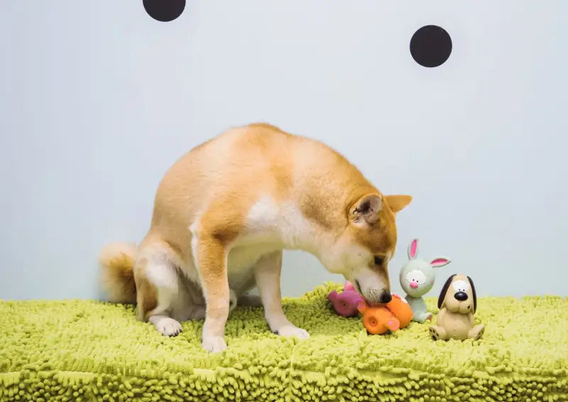 Hondenspeelgoed Latex Kat — Oranje - SPEELGOED