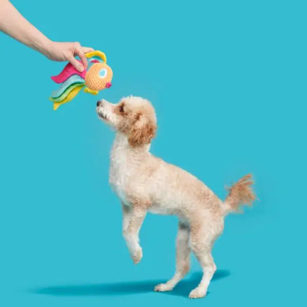 Hondenspeelgoed Pluche Bark Ahi Tina Regenboog Vis - SPEELGOED