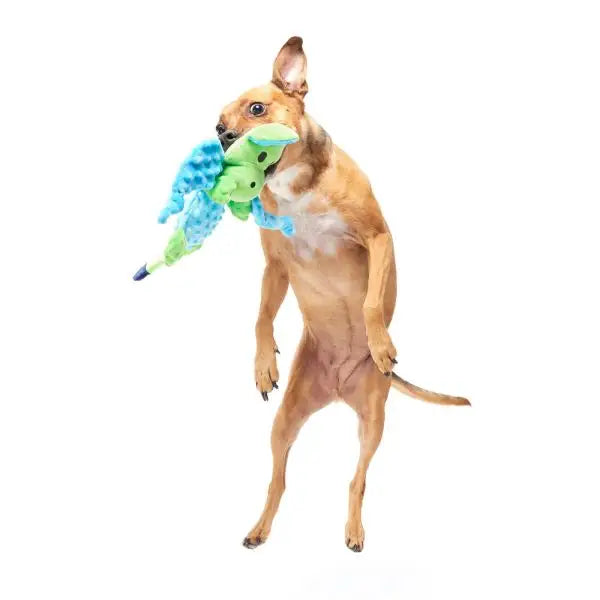 Hondenspeelgoed Pluche Bark Humbert The Dragon - SPEELGOED