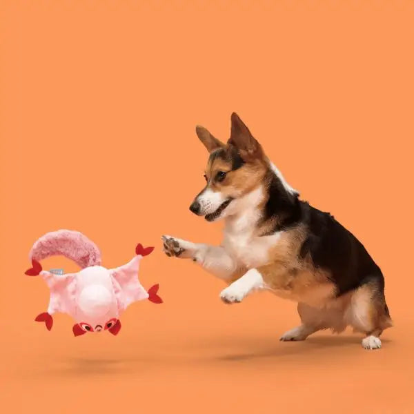 Hondenspeelgoed Pluche Sugar Glider - SPEELGOED