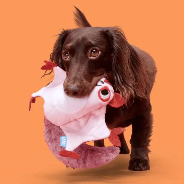 Hondenspeelgoed Pluche Sugar Glider - SPEELGOED