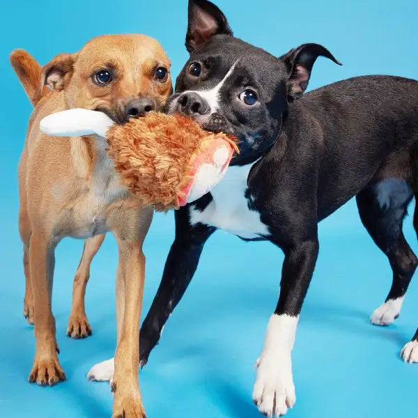 Hondenspeelgoed Pluche Tavern Turkey Leg - SPEELGOED