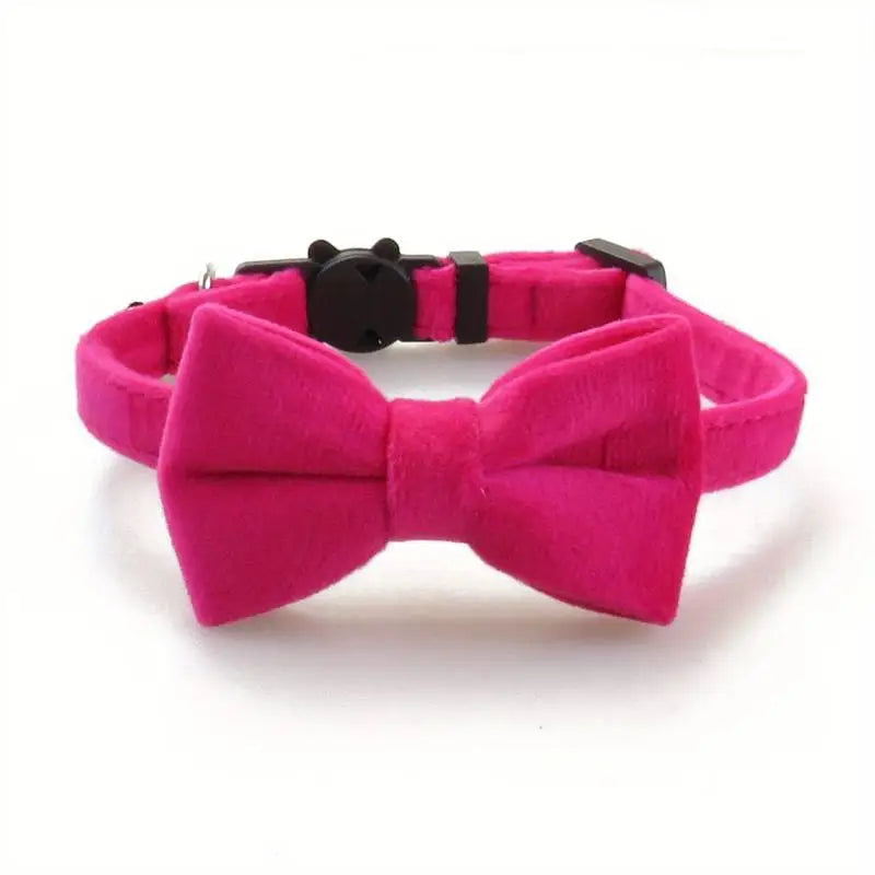 Hondenstrikje Fluweel — Fuchsia