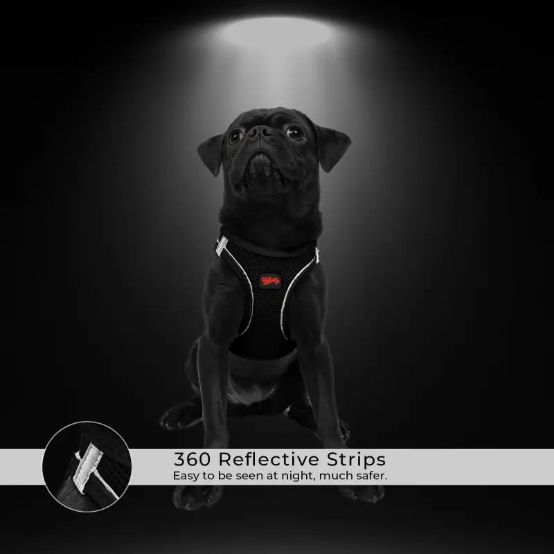 Hondentuigje Air-Mesh Vest — Limoen - HALSBANDEN/LIJNEN NYLON