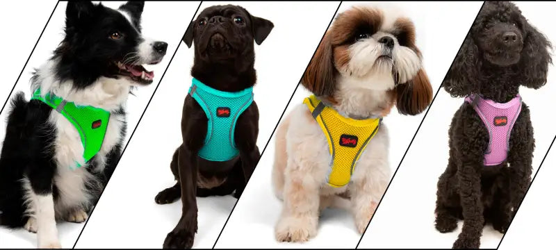 Hondentuigje Air-Mesh Vest — Limoen - HALSBANDEN/LIJNEN NYLON